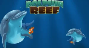 doplhin reef