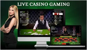 live casino